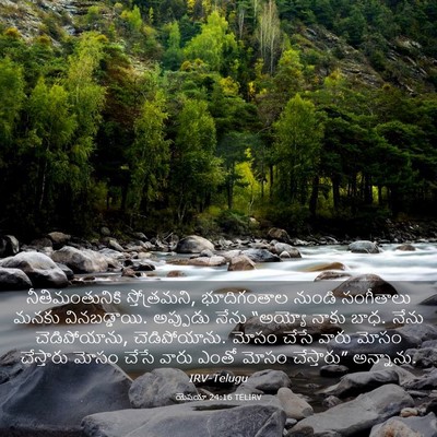 Picture 03 - యెషయా 24:16 TELIRV - నీతిమంతునికి - Bible Verse Picture