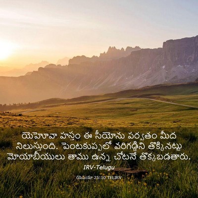 Picture 03 - యెషయా 25:10 TELIRV - యెహోవా హస్తం ఈ - Bible Verse Picture