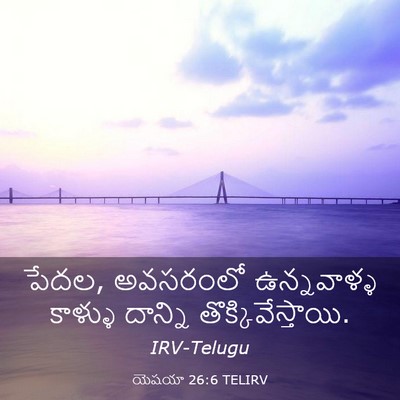 Picture 03 - యెషయా 26:6 TELIRV - పేదల, అవసరంలో - Bible Verse Picture