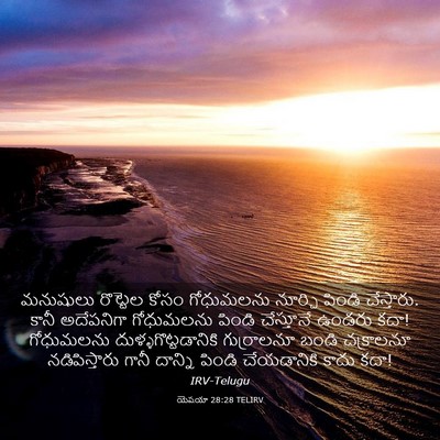 Picture 03 - యెషయా 28:28 TELIRV - మనుషులు రొట్టెల - Bible Verse Picture