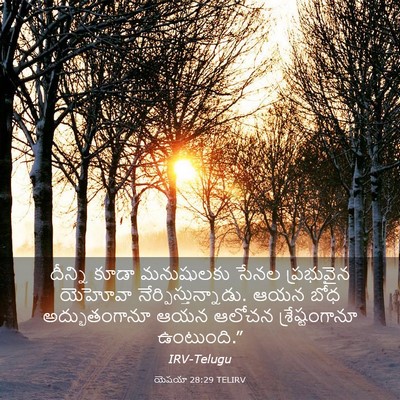 Picture 03 - యెషయా 28:29 TELIRV - దీన్ని కూడా - Bible Verse Picture