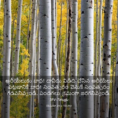 Picture 03 - యెషయా 29:1 TELIRV - అరీయేలుకు బాధ! - Bible Verse Picture