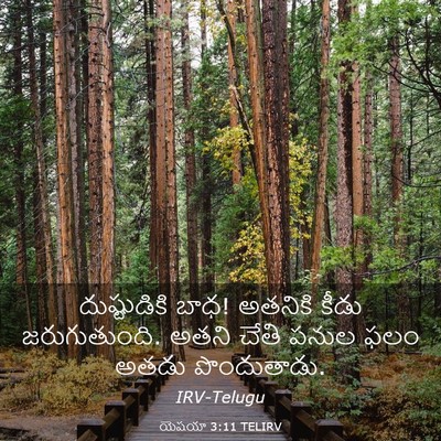 Picture 03 - యెషయా 3:11 TELIRV - దుష్టుడికి బాధ! - Bible Verse Picture