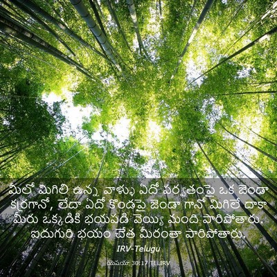 Picture 03 - యెషయా 30:17 TELIRV - మీలో మిగిలి ఉన్న - Bible Verse Picture