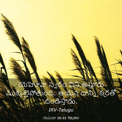 Picture 03 - యెషయా 30:31 TELIRV - యెహోవా స్వరం విని - Bible Verse Picture