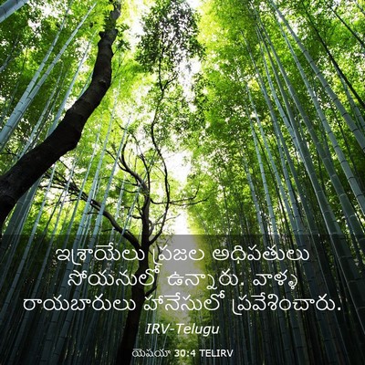 Picture 03 - యెషయా 30:4 TELIRV - ఇశ్రాయేలు ప్రజల - Bible Verse Picture