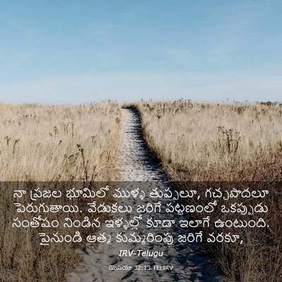 Picture 03 - యెషయా 32:13 TELIRV - నా ప్రజల భూమిలో - Bible Verse Picture