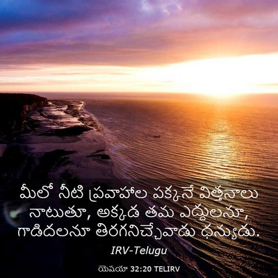 Picture 03 - యెషయా 32:20 TELIRV - మీలో నీటి - Bible Verse Picture