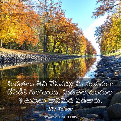 Picture 03 - యెషయా 33:4 TELIRV - మిడతలు తిని - Bible Verse Picture