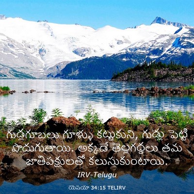 Picture 03 - యెషయా 34:15 TELIRV - గుడ్లగూబలు గూళ్ళు - Bible Verse Picture