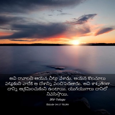 Picture 03 - యెషయా 34:17 TELIRV - అవి రావాలని ఆయన - Bible Verse Picture