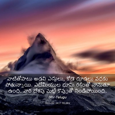 Picture 03 - యెషయా 34:7 TELIRV - వాటితోపాటు అడవి - Bible Verse Picture