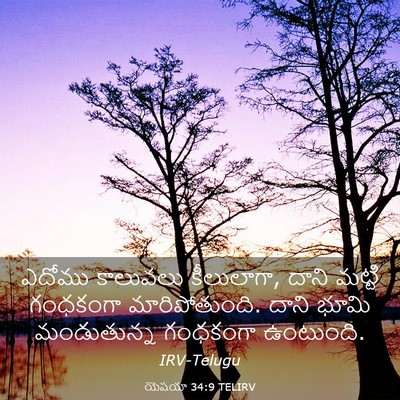 Picture 03 - యెషయా 34:9 TELIRV - ఎదోము కాలువలు - Bible Verse Picture