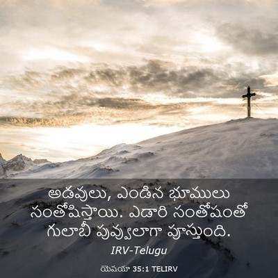 Picture 03 - యెషయా 35:1 TELIRV - అడవులు, ఎండిన - Bible Verse Picture
