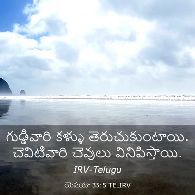 Picture 03 - యెషయా 35:5 TELIRV - గుడ్డివారి కళ్ళు - Bible Verse Picture