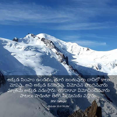 Picture 03 - యెషయా 35:9 TELIRV - అక్కడ సింహం ఉండదు, - Bible Verse Picture