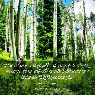 Picture 03 - యెషయా 36:18 TELIRV - వివిధ ప్రజల - Bible Verse Picture