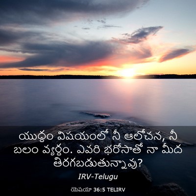 Picture 03 - యెషయా 36:5 TELIRV - యుద్ధం విషయంలో నీ - Bible Verse Picture