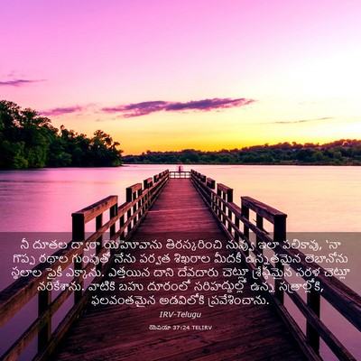 Picture 03 - యెషయా 37:24 TELIRV - నీ దూతల ద్వారా - Bible Verse Picture