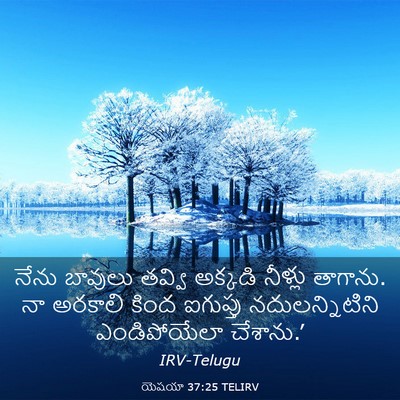 Picture 03 - యెషయా 37:25 TELIRV - నేను బావులు తవ్వి - Bible Verse Picture