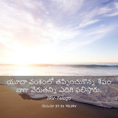 Picture 03 - యెషయా 37:31 TELIRV - యూదా వంశంలో - Bible Verse Picture