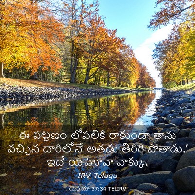 Picture 03 - యెషయా 37:34 TELIRV - ఈ పట్టణం లోపలికి - Bible Verse Picture