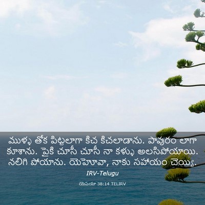 Picture 03 - యెషయా 38:14 TELIRV - ముళ్ళ తోక - Bible Verse Picture