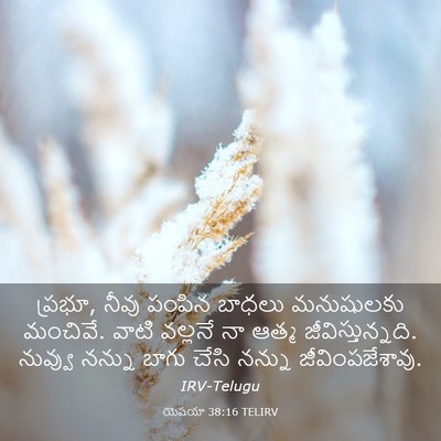 Picture 03 - యెషయా 38:16 TELIRV - ప్రభూ, నీవు పంపిన - Bible Verse Picture
