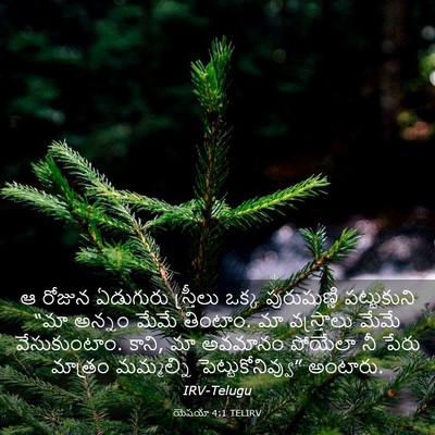 Picture 03 - యెషయా 4:1 TELIRV - ఆ రోజున ఏడుగురు - Bible Verse Picture