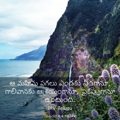 Picture 03 - యెషయా 4:6 TELIRV - ఆ మహిమ పగలు ఎండకు - Bible Verse Picture