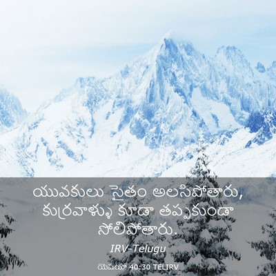 Picture 03 - యెషయా 40:30 TELIRV - యువకులు సైతం - Bible Verse Picture