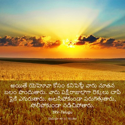 Picture 03 - యెషయా 40:31 TELIRV - అయితే యెహోవా కోసం - Bible Verse Picture