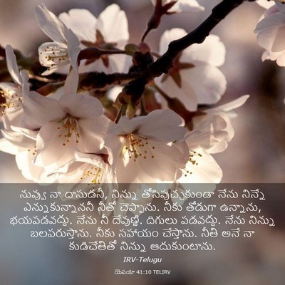 Picture 03 - యెషయా 41:10 TELIRV - నువ్వు నా దాసుడనీ, - Bible Verse Picture