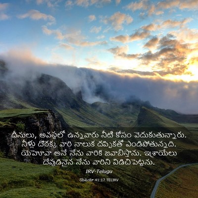 Picture 03 - యెషయా 41:17 TELIRV - దీనులు, అవస్థలో - Bible Verse Picture