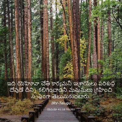 Picture 03 - యెషయా 41:18 TELIRV - ఇది యెహోవా చేతి - Bible Verse Picture