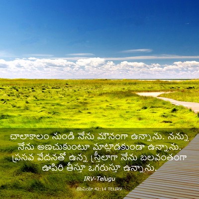 Picture 03 - యెషయా 42:14 TELIRV - చాలాకాలం నుండి - Bible Verse Picture