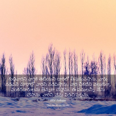 Picture 03 - యెషయా 42:16 TELIRV - గుడ్డివారిని - Bible Verse Picture