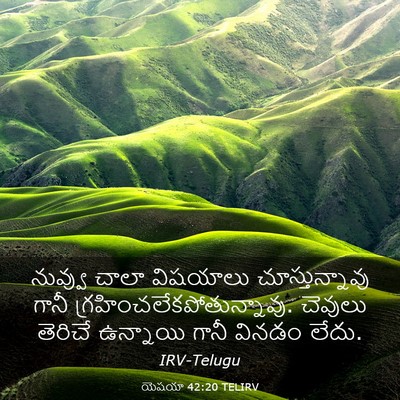 Picture 03 - యెషయా 42:20 TELIRV - నువ్వు చాలా - Bible Verse Picture