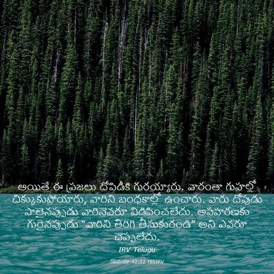 Picture 03 - యెషయా 42:22 TELIRV - అయితే ఈ ప్రజలు - Bible Verse Picture