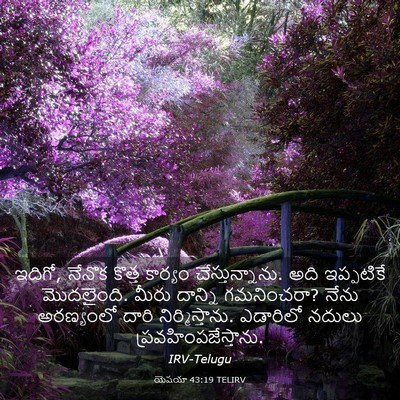 Picture 03 - యెషయా 43:19 TELIRV - ఇదిగో, నేనొక కొత్త - Bible Verse Picture