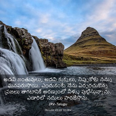 Picture 03 - యెషయా 43:20 TELIRV - అడవి జంతువులు, - Bible Verse Picture