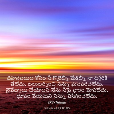 Picture 03 - యెషయా 43:23 TELIRV - దహనబలుల కోసం నీ - Bible Verse Picture