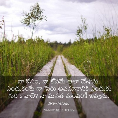 Picture 03 - యెషయా 48:11 TELIRV - నా కోసం, నా కోసమే - Bible Verse Picture