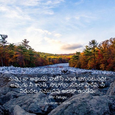 Picture 03 - యెషయా 48:18 TELIRV - నువ్వు నా ఆజ్ఞలను - Bible Verse Picture