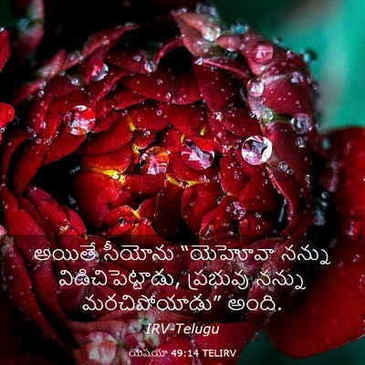 Picture 03 - యెషయా 49:14 TELIRV - అయితే సీయోను - Bible Verse Picture