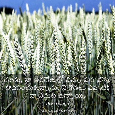 Picture 03 - యెషయా 49:16 TELIRV - చూడు, నా - Bible Verse Picture