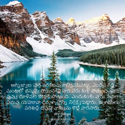 Picture 03 - యెషయా 5:24 TELIRV - అగ్నిజ్వాల చెత్త - Bible Verse Picture
