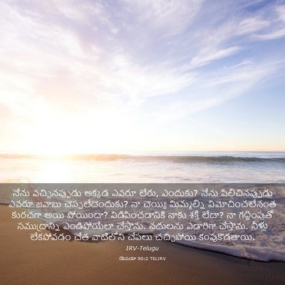 Picture 03 - యెషయా 50:2 TELIRV - నేను వచ్చినప్పుడు - Bible Verse Picture