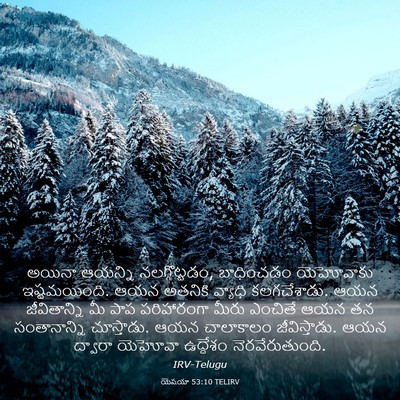 Picture 03 - యెషయా 53:10 TELIRV - అయినా ఆయన్ని - Bible Verse Picture