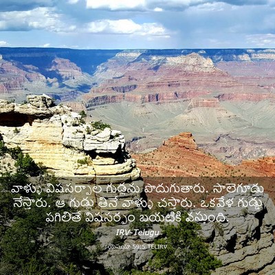 Picture 03 - యెషయా 59:5 TELIRV - వాళ్ళు విషసర్పాల - Bible Verse Picture